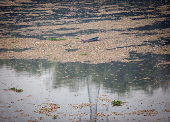 People collect trash that can be recycled and traded from the sea of garbage in the Citarum River, Bandung, Wes Java. Citarum River is the one of polluted river in Indonesia. 