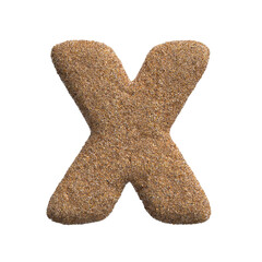 Sand letter X - Upper-case 3d beach font - Holidays, travel or ocean concepts