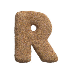Sand letter R - Uppercase 3d beach font - Holidays, travel or ocean concepts