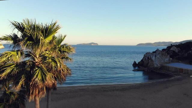 Drone footage rising by a palm tree on a small beach at Ibiza.