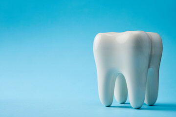 White tooth model on a blue background