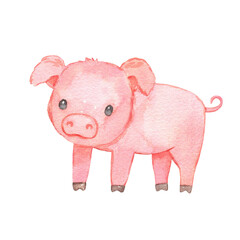 Cute baby piglet isolated on white. Watercolor farm animal pig. Childish funny character © Elena