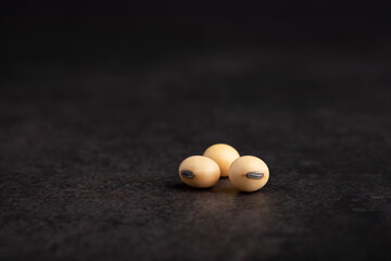 Three soybeans or soya beans on black background.