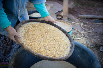 Farmer hands holding winnowing basket with rice and husk.