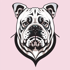 A detailed illustration of a stunning bulldog in vector style with plain pink background