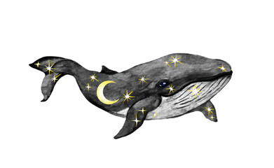 Celestial whale with stars, moon  and constellations. Watercolor vector night space design, magic  illustration for decorative fantasy tattoo