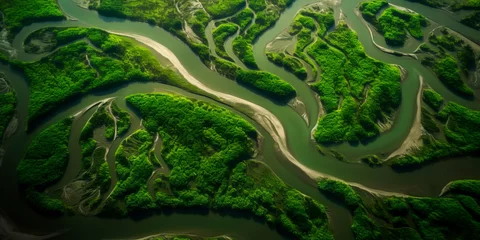 Foto op Plexiglas aerial view of a river delta with lush green vegetation and winding waterways  Generative AI © Лилия Захарчук