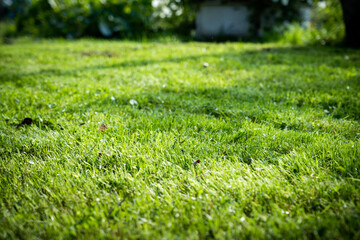 lawn mower on a sunny day, man mowing the lawn in the backyard