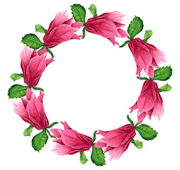 magnolia flowers. botanical watercolor illustration.