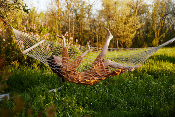 a funny woman is resting in nature lying in a mesh hammock in a long orange dress lifting up her arms and legs