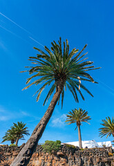 Fototapeta premium Kulturstätte und Touristenattraktion Jameos del Aqua, Cesar Manrique, Kanaren, Lanzarote, Spanien