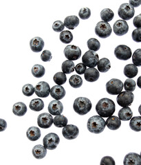Ripe blueberries isolated on white background.