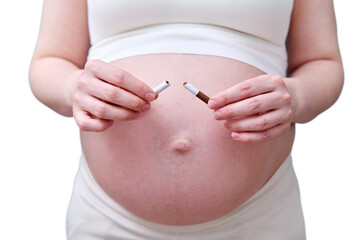 Pregnant woman breaks a cigarette in her hands as smoking cessation, isolated on a white background in the studio