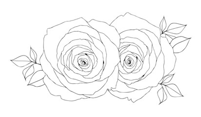 薔薇のブーケ手描き線画イラスト