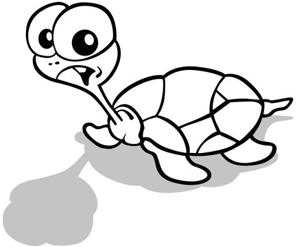 Drawing of a Funny Turtle with a Long Neck