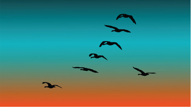 Several silhouette of Canadian goose birds migrating. 