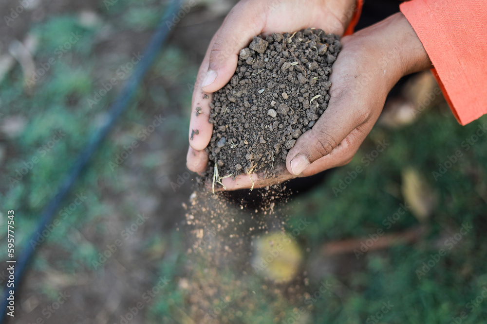 Wall mural indian farmer holding soil in hands, happy farming