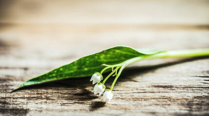 Obraz premium Bouquet de muguet posé de manière romantique, , IA générative, Générative, IA 