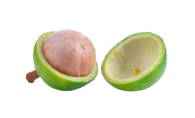 macadamia nuts isolated on  transparent png
