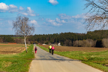 Obraz premium Rural road between agricultural fields, Czech Republic