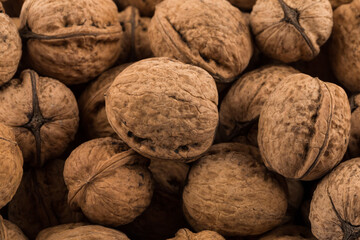 Walnut nut closeup