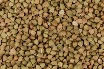 organic bio buckwheat
