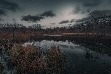 Mystische Moor Landschaft