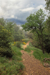 Beautiful landscape with fog and a road receding into the distance on Mount Meron