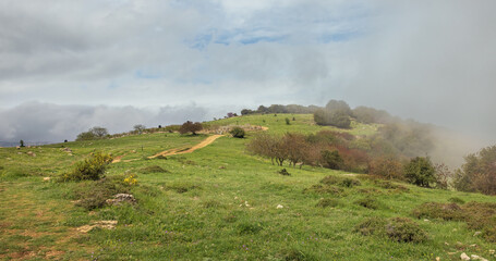 Obraz premium Beautiful landscape with fog and a road receding into the distance