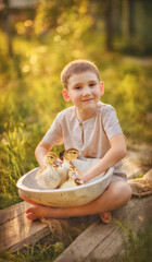 The boy tenderly holds ducks in his hands. A lovely warm summer evening. Sunny day. The kid presses a little duckling to his cheek. Fairy tale. The kid sits near a fabulous tree and holds a duck in hi