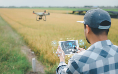 Agronomist Using Technology in Agricultural paddy Field