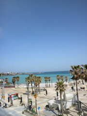 야자수가 있는 휴양지 바다