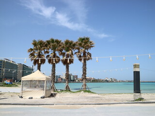 야자수가 있는 휴양지 바다