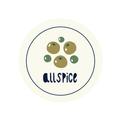 Hand Drawn circle illustrated label spice herb allspice. Flat vector nature botanical graphic design packaging sticker