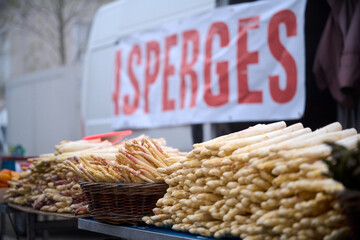 Fresh white asparagus on outdoors market in France