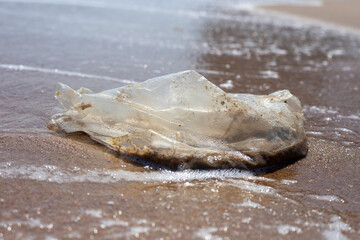 Plastic bag pollution on the beach