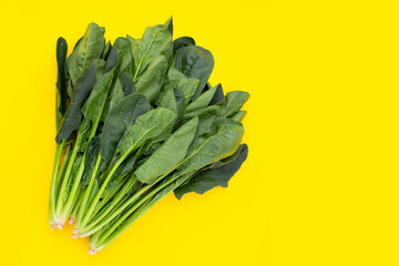 Fresh spinach on yellow background
