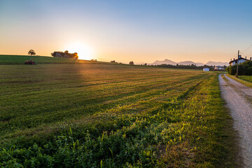 Fototapeta premium Colorful sunset in the fields of Friuli Venezia-Giulia