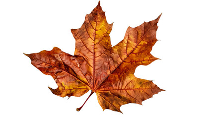 Naklejka na ściany i meble autumn leaves on transparent background png. Generative Ai