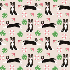 Summer border collie dogs seamless patterns. Printable digital papers. Seamless funny puppy pattern background. monstera watermelon
