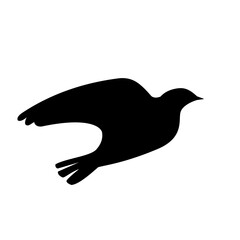 bird silhouette