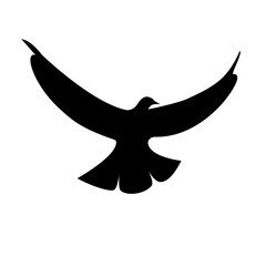 bird silhouette