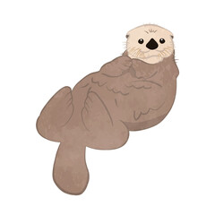Illustration of a cute sea otter lying down
