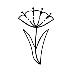 Hand drawn flower and branches doodle. Vector illustration