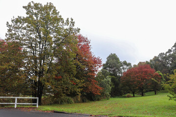 Beautiful view of Bowral Southern Highlands NSW, autumn photography