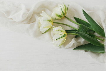 Beautiful white tulips with soft fabric on rustic wooden table with space for text. Happy Mothers day. Spring bouquet from garden. Womens day