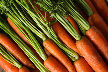 Fresh carrot, concept of harvest, harvest season