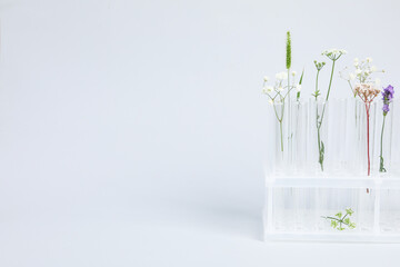 Concept of biology research, space for text