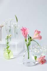 Concept of biology and chemistry research with flowers