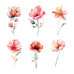 Set watercolor hand painted with colorful flower